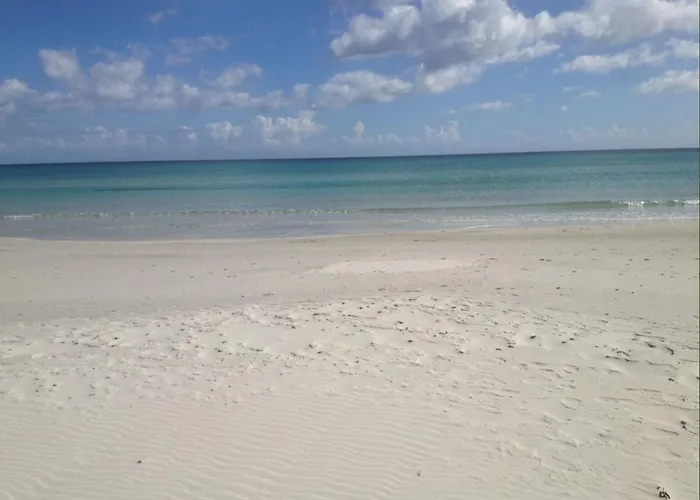 Arborea Vista Mare تانايونيلا